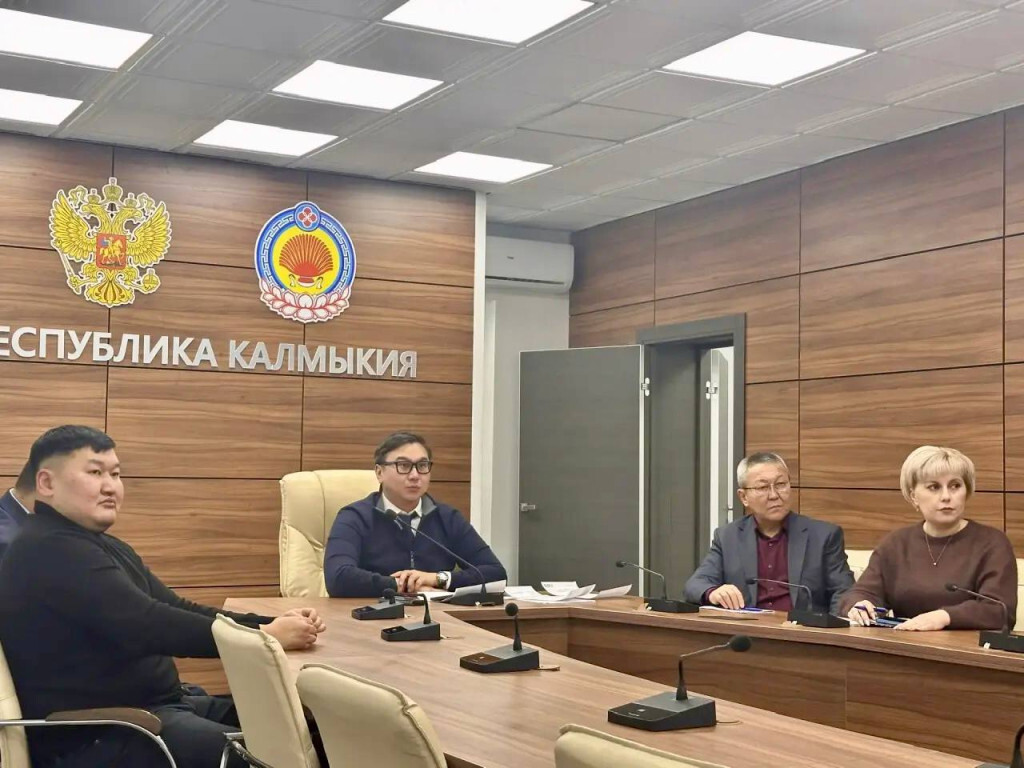 В Республике Калмыкия обсудили развитие фиджитал-спорта в регионе